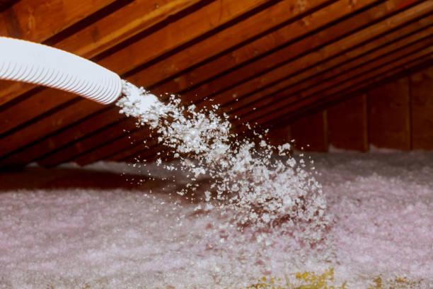 Best Residential Insulation in Chico, TX