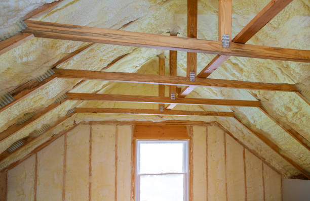 Best Specialized Insulation Services in Chico, TX
