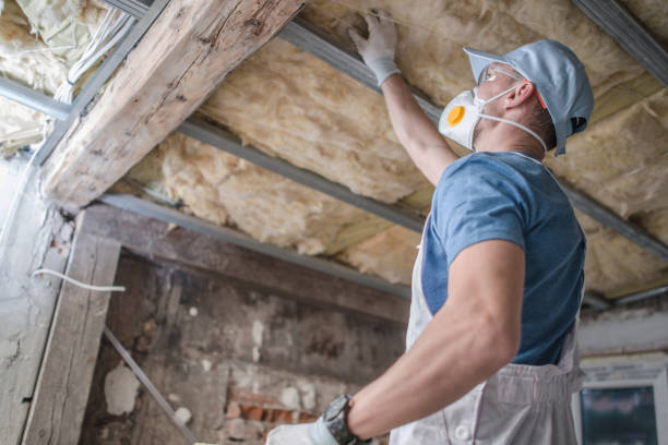 Best DIY Insulation Kits and Guidance in Chico, TX