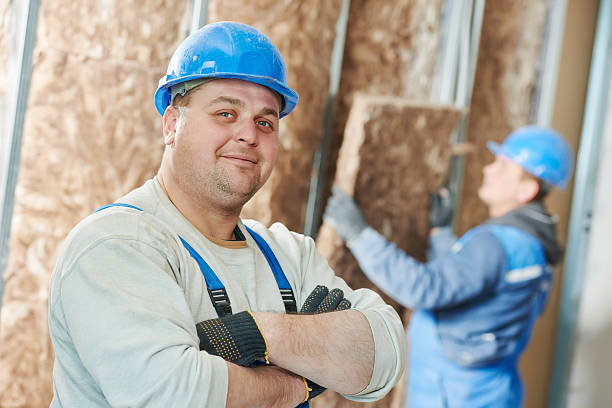Best Insulation Maintenance and Repair in Chico, TX