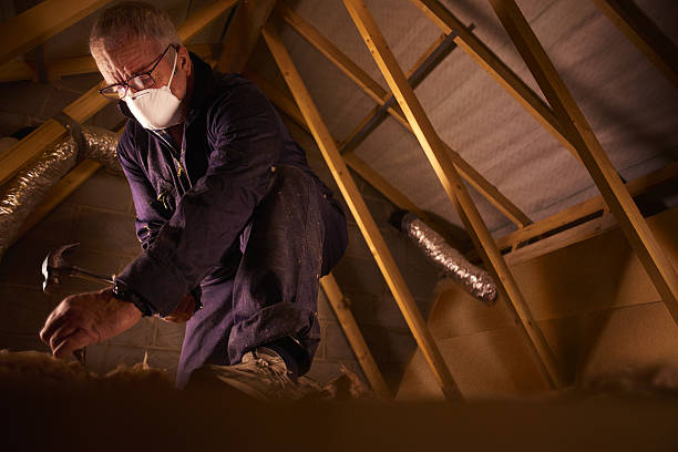 Best Commercial Insulation in Chico, TX