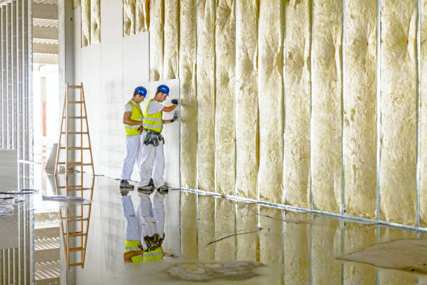 Best Geographic-Specific Insulation Services in Chico, TX
